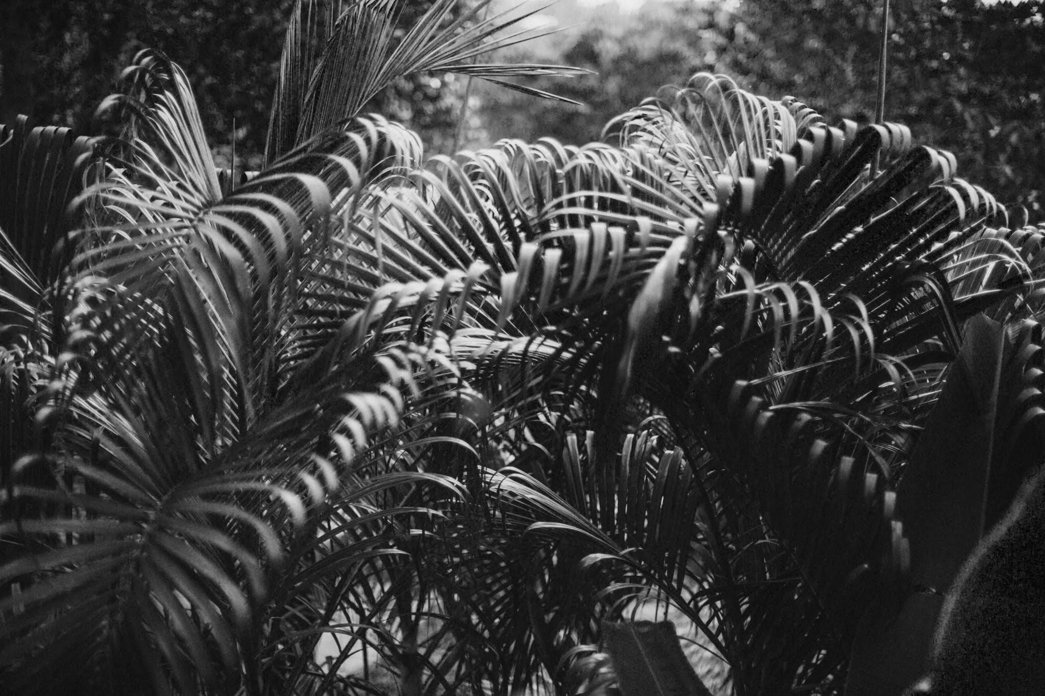 Seed Innovation Network